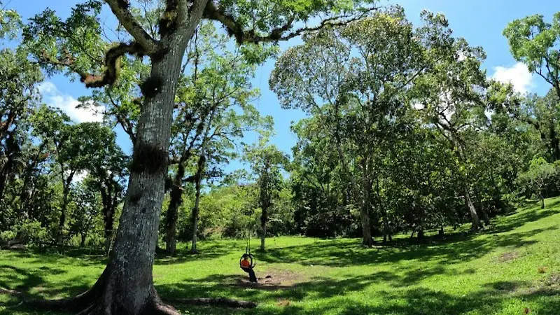 Areas verdes parque tzimbac